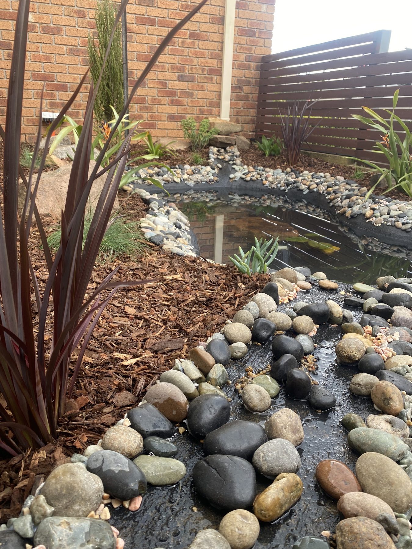 A pebble edged pond with flax and ornamental grasses planted around it, behind a timber slat screen